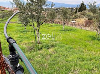 Οικόπεδο 1.700 τ.μ. για πώληση, Αχαΐα, Πάτρα-thumb-12