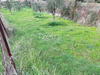 Οικόπεδο 1.700 τ.μ. για πώληση, Αχαΐα, Πάτρα-thumb-15