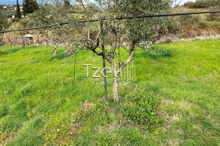 Οικόπεδο 1.700 τ.μ. για πώληση, Αχαΐα, Πάτρα-thumb-17