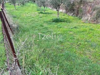 Οικόπεδο 1.700 τ.μ. για πώληση, Αχαΐα, Πάτρα-thumb-18