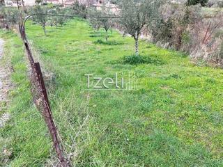 Οικόπεδο 1.700 τ.μ. για πώληση, Αχαΐα, Πάτρα-thumb-20