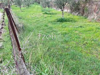 Οικόπεδο 1.700 τ.μ. για πώληση, Αχαΐα, Πάτρα-thumb-29