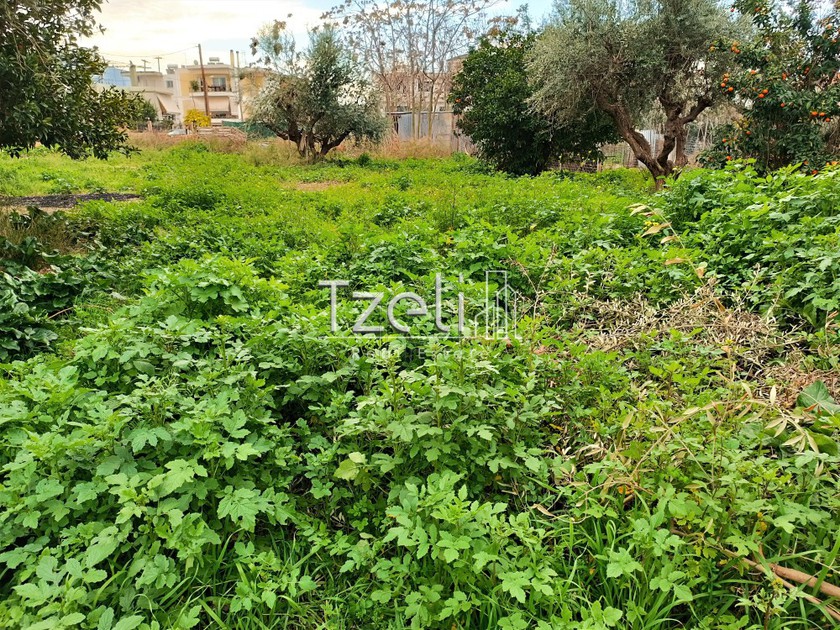 Οικόπεδο 442τ.μ. για πώληση-Πάτρα » Ταραμπούρα