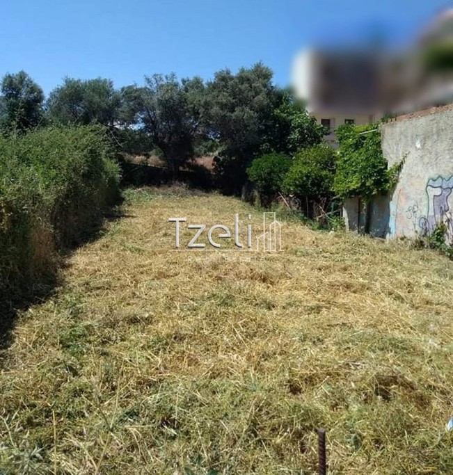 Οικόπεδο 278τ.μ. για πώληση-Πάτρα » Συχαινά