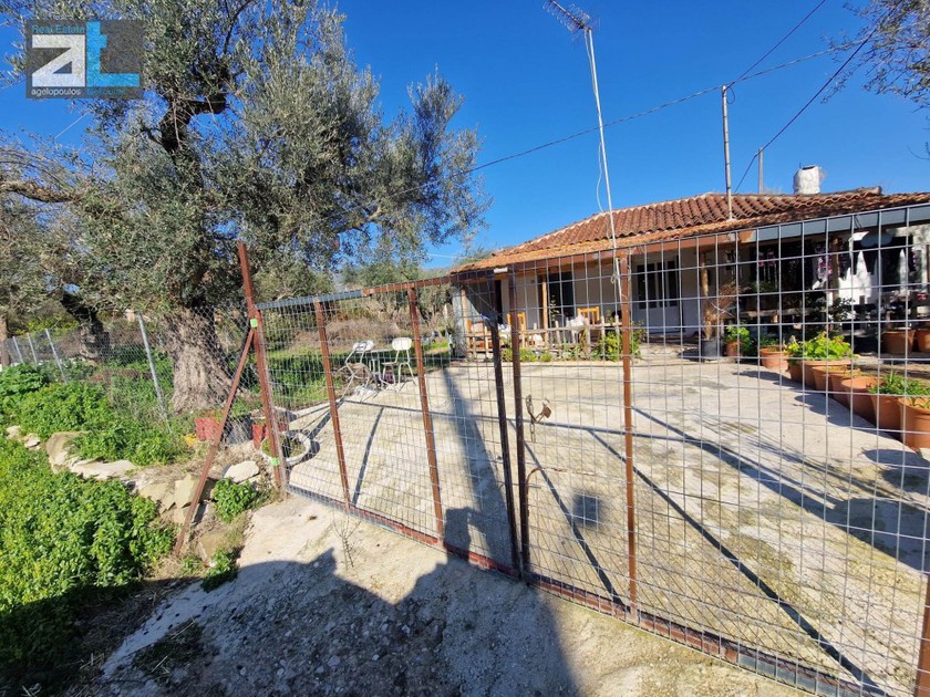 Αγροτεμάχια 3.000 τ.μ. για πώληση