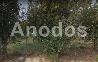 Οικόπεδο 645 τ.μ. πρός πώληση
