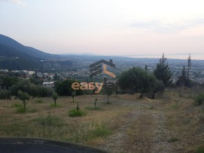 Land plot 730sqm for sale-Patra » Neo Souli