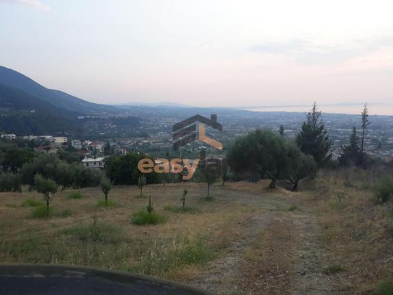 Land plot 730 sqm for sale, Achaia, Patra