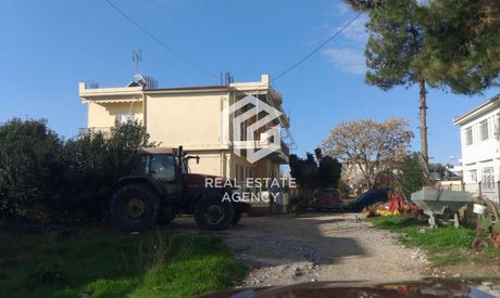 Διαμέρισμα 100τ.μ. για πώληση-Ιερά πόλη μεσολογγίου » Άγιος γεώργιος