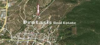 Αγροτεμάχια 2.124,84 τ.μ. για πώληση