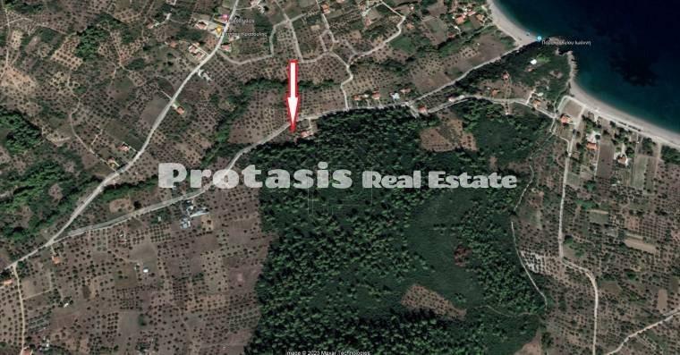 Αγροτεμάχια 964,62 τ.μ. προς πώληση, Ελληνικά Αρτεμισίου