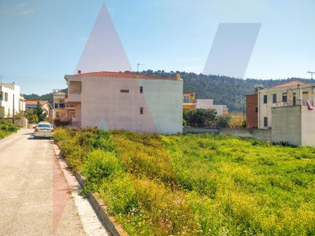 Οικόπεδο 310τ.μ. για πώληση-Βόλος » Νέα δημητριάδα