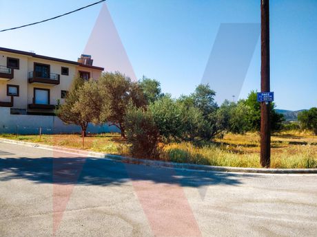 Οικόπεδο 333τ.μ. για πώληση-Νέα ιωνία βόλου » Νέα ιωνία