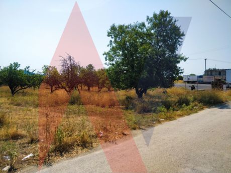 Οικόπεδο 8.331τ.μ. για πώληση-Νέα ιωνία βόλου » Νέα ιωνία