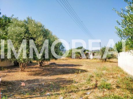 Οικόπεδο 665τ.μ. για πώληση-Νέα ιωνία βόλου » Νέα ιωνία