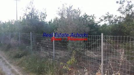 Οικόπεδο 2.300τ.μ. για πώληση-Διακοπτό » Ελαιώνας