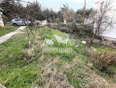 Οικόπεδο 174τ.μ. για πώληση-Αλεξανδρούπολη » Παλαγία