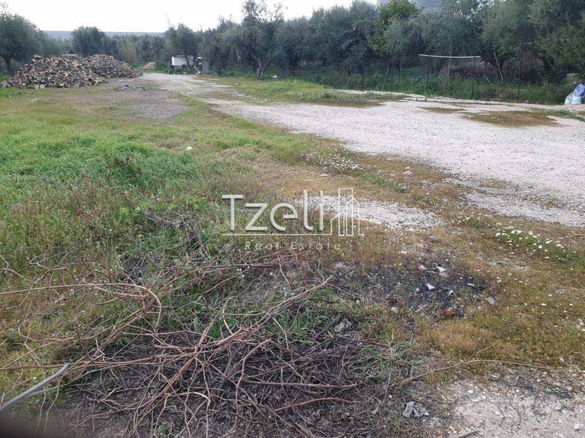 Land plot 2.000sqm for rent-Messatida » Mpakari