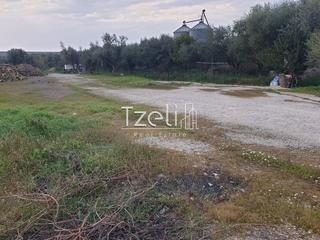 Οικόπεδο 2.000 τ.μ. για ενοικίαση, Αχαΐα, Μεσσατίδα-thumb-3