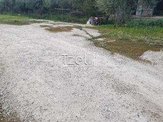 Οικόπεδο 2.000 τ.μ. για ενοικίαση, Αχαΐα, Μεσσατίδα-thumb-4