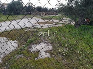 Οικόπεδο 2.000 τ.μ. για ενοικίαση, Αχαΐα, Μεσσατίδα-thumb-5