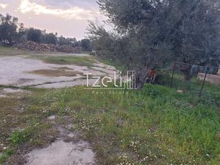 Οικόπεδο 2.000 τ.μ. για ενοικίαση, Αχαΐα, Μεσσατίδα-thumb-6