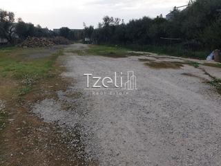 Οικόπεδο 2.000 τ.μ. για ενοικίαση, Αχαΐα, Μεσσατίδα-thumb-8