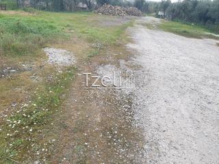 Οικόπεδο 2.000 τ.μ. για ενοικίαση, Αχαΐα, Μεσσατίδα-thumb-12