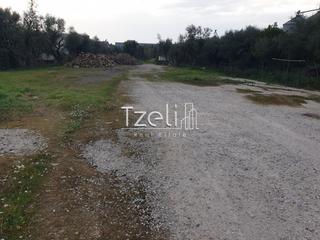 Οικόπεδο 2.000 τ.μ. για ενοικίαση, Αχαΐα, Μεσσατίδα-thumb-16
