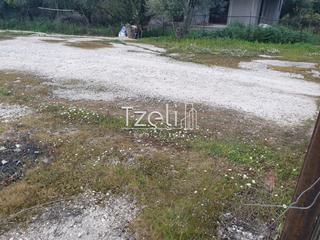 Οικόπεδο 2.000 τ.μ. για ενοικίαση, Αχαΐα, Μεσσατίδα-thumb-17