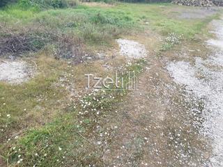 Οικόπεδο 2.000 τ.μ. για ενοικίαση, Αχαΐα, Μεσσατίδα-thumb-18