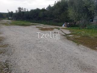 Οικόπεδο 2.000 τ.μ. για ενοικίαση, Αχαΐα, Μεσσατίδα-thumb-19
