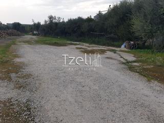 Οικόπεδο 2.000 τ.μ. για ενοικίαση, Αχαΐα, Μεσσατίδα-thumb-21