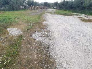 Οικόπεδο 2.000 τ.μ. για ενοικίαση, Αχαΐα, Μεσσατίδα-thumb-22