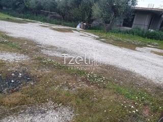 Οικόπεδο 2.000 τ.μ. για ενοικίαση, Αχαΐα, Μεσσατίδα-thumb-24
