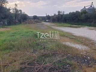 Οικόπεδο 2.000 τ.μ. για ενοικίαση, Αχαΐα, Μεσσατίδα-thumb-25