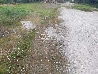 Οικόπεδο 2.000 τ.μ. για ενοικίαση, Αχαΐα, Μεσσατίδα-thumb-29