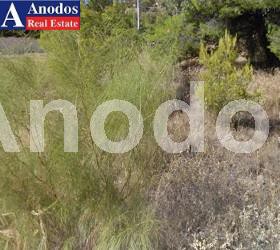 Land plot 750 sqm for sale, Athens - South, Voula