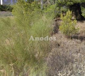 Οικόπεδο 750 τ.μ. για πώληση, Αθήνα - Νότια Προάστια, Βούλα