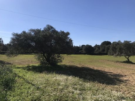 Parcel 4.172sqm for sale-Kefalonia » Leivatho