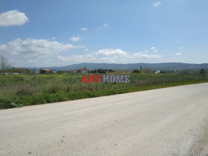 Other 10.000 sqm for rent