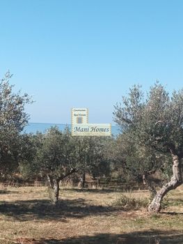 Οικόπεδο 1.380τ.μ. για πώληση-Λεύκτρος » Ρίγκλια