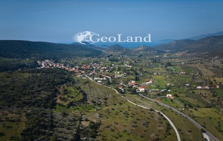 Αγροτεμάχια 17.855τ.μ. για πώληση-Κρανίδι » Φούρνοι