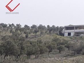 Parcel 12.000sqm for sale-Koropi » Center