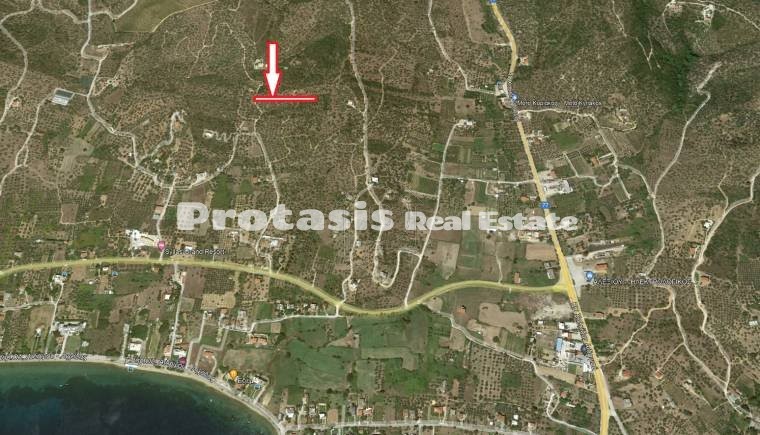 Αγροτεμάχια 3.525,27τ.μ. για πώληση-Αιδηψός » Παραλία αγίου νικολάου
