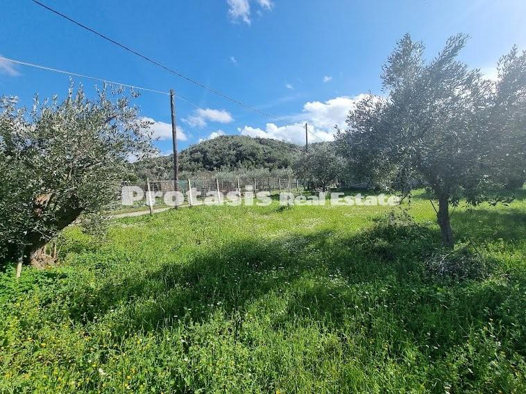 Μονοκατοικία 30 τ.μ. προς πώληση, Νέος Πύργος Ωρεών