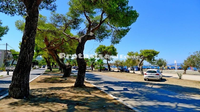 Συγκρότημα διαμερισμάτων 302,68τ.μ. για πώληση-Αρτεμίσιο » Πεύκη