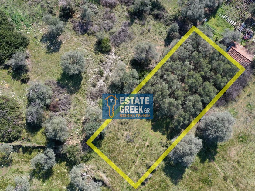 Land plot 426sqm for sale-Thasos » Limenaria
