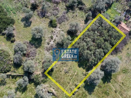 Land plot 426sqm for sale-Thasos » Limenaria