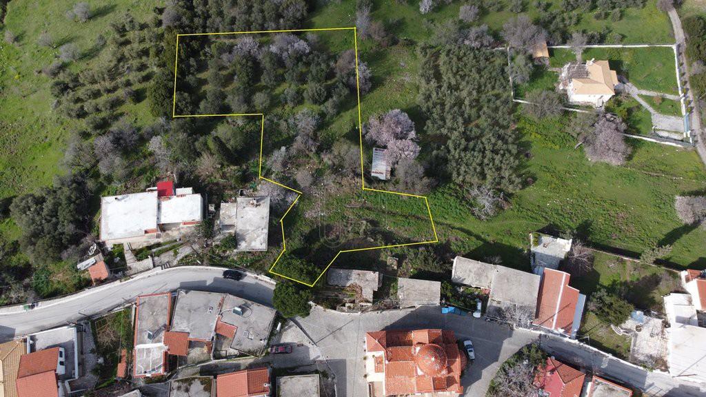Οικόπεδο 2.070 τ.μ. προς πώληση, Πίσια